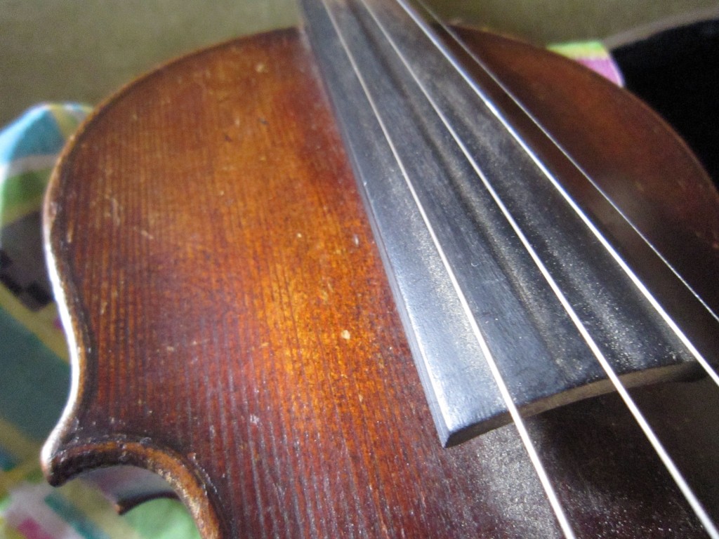 violin