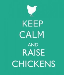 Keep Calm and Raise Chickens