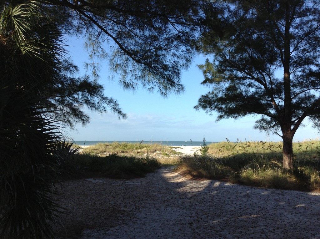 The view from the back porch of Treasure Island Beach.