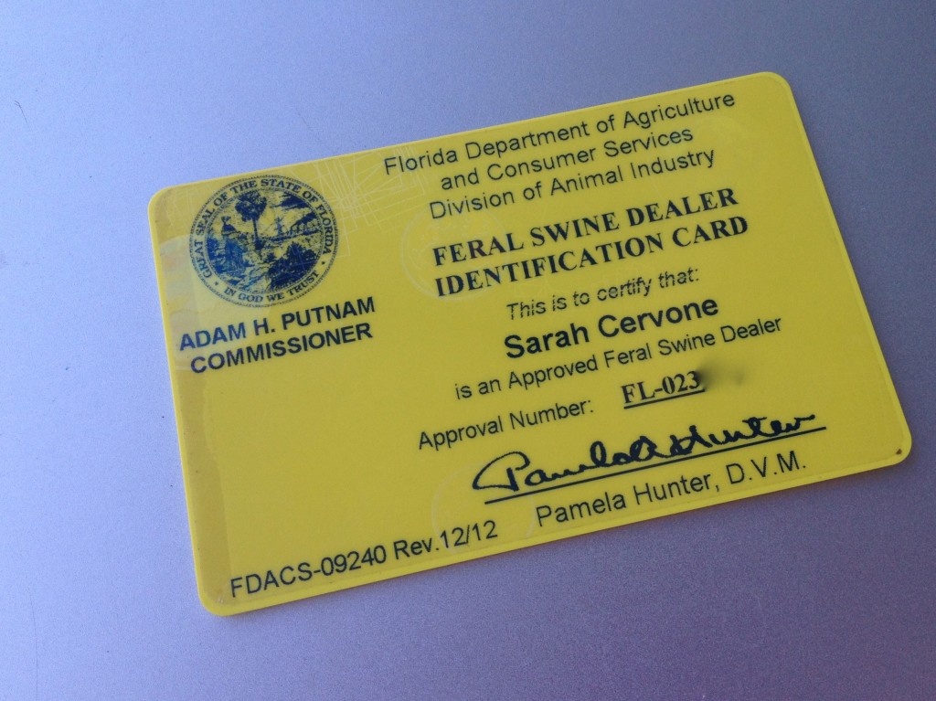 swine license