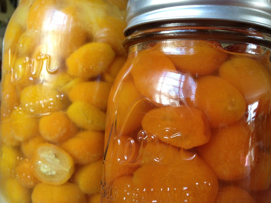 preserved kumquats