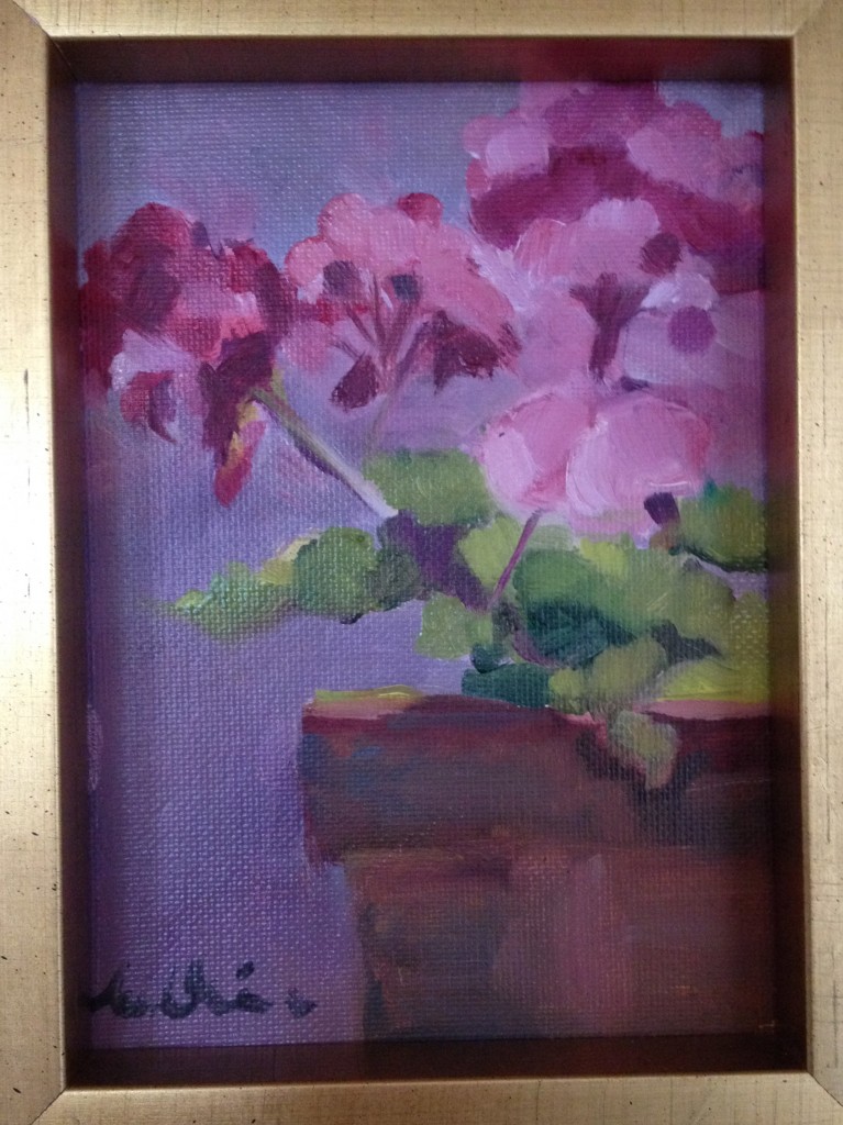 pink-geraniums-nancy-nickerson